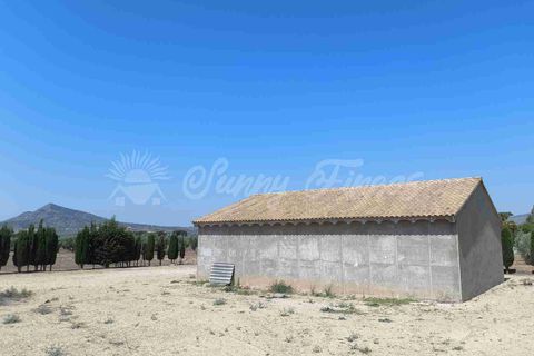 Landejendom i Caudete, Albacete, Caudete - € 95.000 | Ref: SF0539 - foto 8